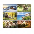 Calendrier 6 Feuillets Nature